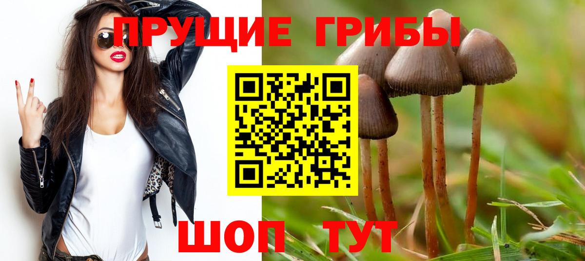 Псилоцибиновые грибы мицелий  Вход с VPN  Саранск  Псилоцибиновые грибы Psilocybe 
